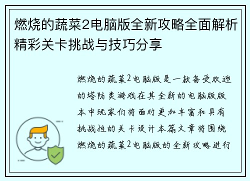 燃烧的蔬菜2电脑版全新攻略全面解析精彩关卡挑战与技巧分享